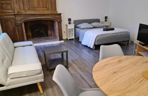 Beaugency-1 sur la route des Châteaux - Photo 23