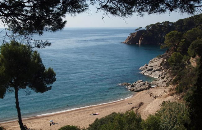 Danlux Carla - Foto 13