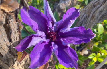 Tanvally Stud - Foto 26