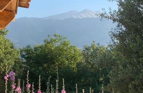 VILLA FATIMA - Foto 13