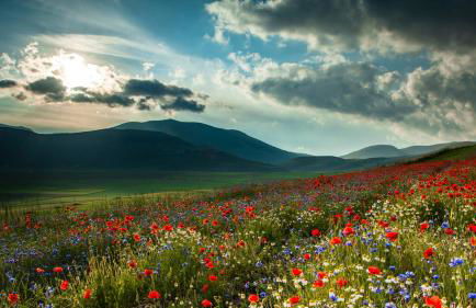 Agriturismo Castello Di Pupaggi - Foto 71