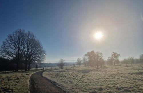 Ferienwohnung Documenta Urbana - Foto 16