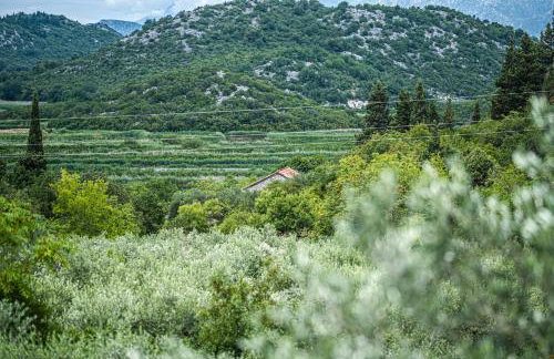 Nera Etwa House - Photo 58