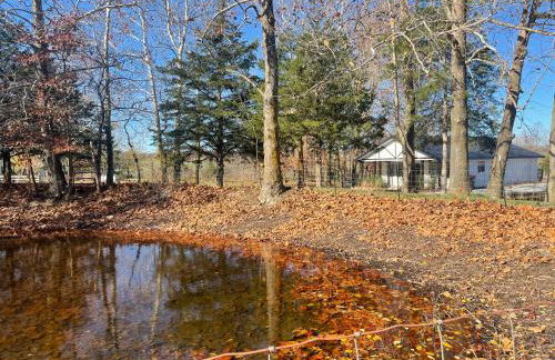 The Cottage at Dragonfly Farm - Foto 10