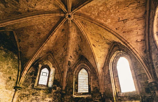Paseo en barco por los puentes del Forth + Abadía de Inchcolm - Foto 15