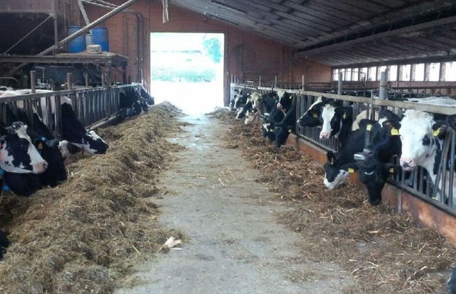 Breitenbach Modern Retreat - Foto 19