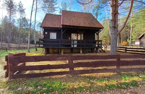 Domek u Bartnika z basenem na Mazurach - Foto 2
