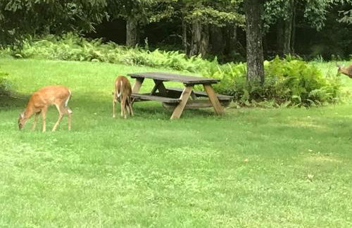 Roscoe Retreat - Foto 66