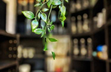 AdeamStays provides Beautiful centrally located 1 and 2 bed apartments on Liverpools Boulevard - Foto 76