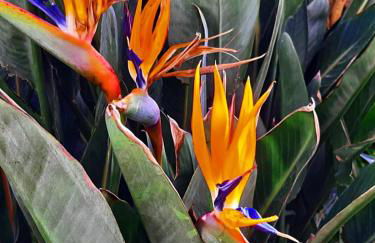 Villa Adeiata - Photo 54