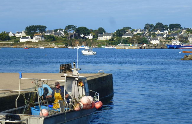 Stone House in Brittany Near Roscoff & Beaches - Foto 26