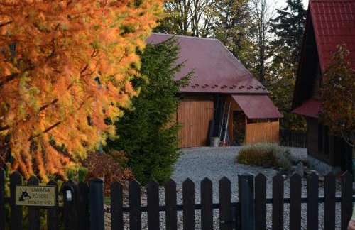 Domek na Obidzy - Foto 36