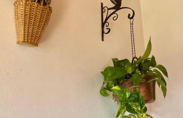 Casa DaRin - Photo 43