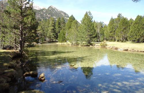 Apartaments La Llucana - Foto 45