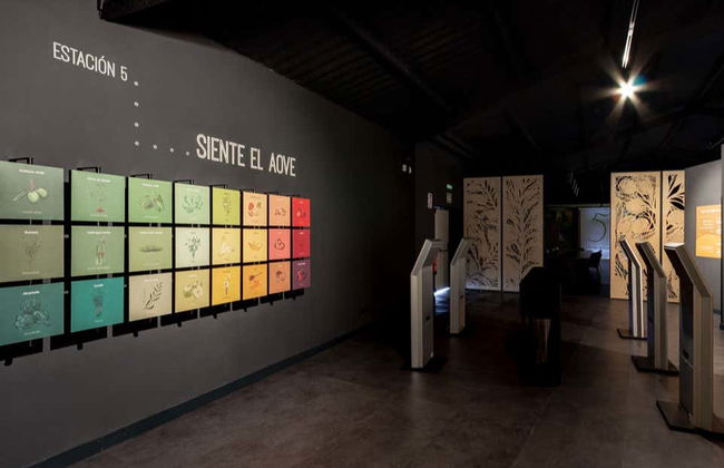 Visita a la finca La Pontezuela con cata de aceites - Foto 6