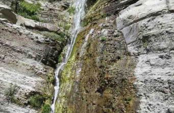 Vintage RV Creekside Nature Retreat near Ojai next to Swim Holes Hike - Foto 55