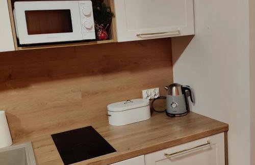 Apartament ZłotogórSKI Lądek-Zdrój - Foto 9