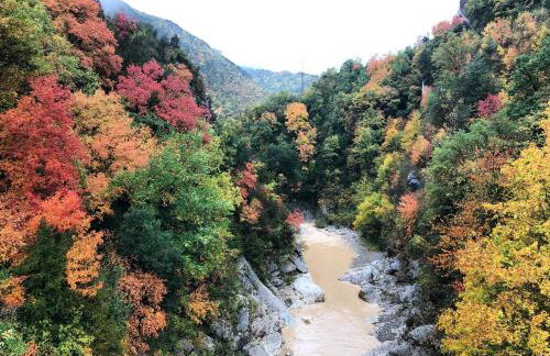 Masia Cap del Roc - Photo 51