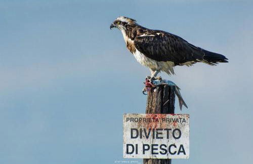 Il riposo dei Giganti - Photo 49