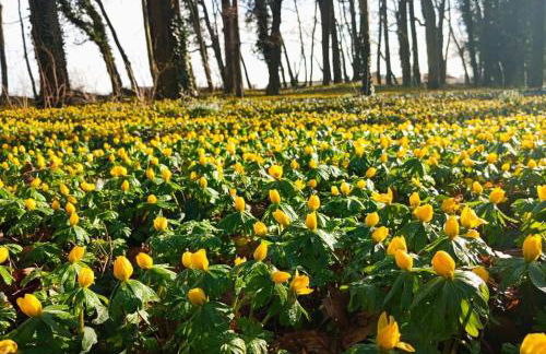 Ferien- und Monteurswohnung Köthen/Reinsdorf - Foto 10