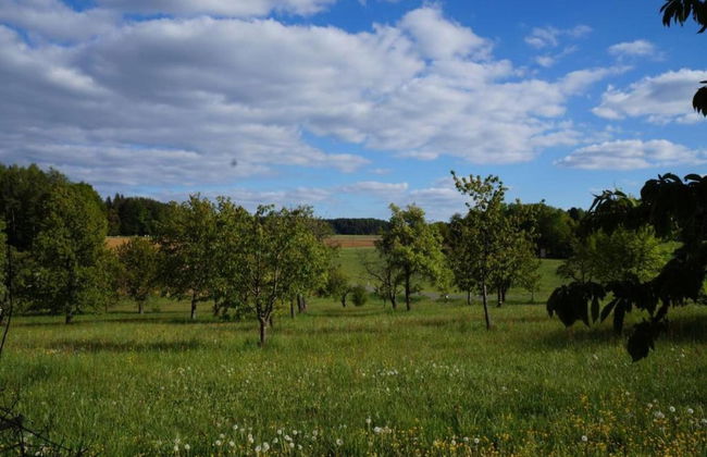 Cozy Apartment in Ruhmannsfelden With Swimming Pool - Photo 72