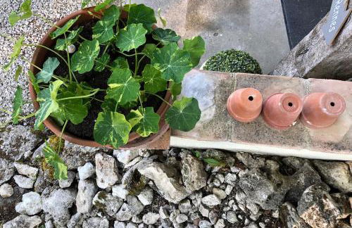 Les fontanelles du quercy blanc - Foto 33