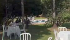 chacara linhares - Foto 2