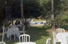 chacara linhares - Foto 2