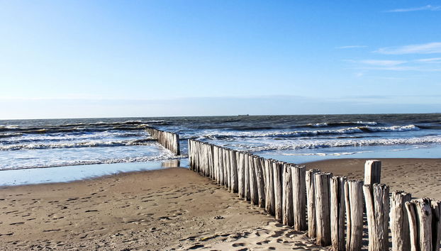 Luxe 6 persoons - Foto 3, Outdoor