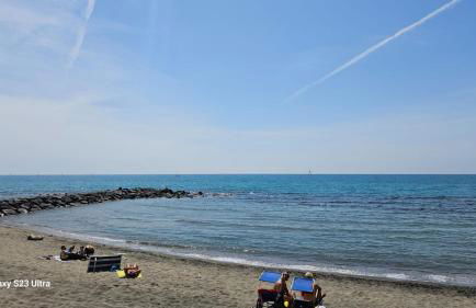 Holidaysshogun - Foto 25