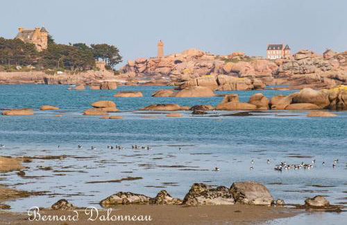 Trégastel - Foto 16