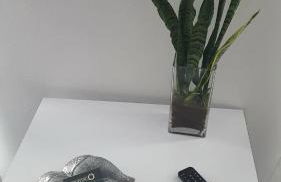 Barrocas do Mar - Photo 17