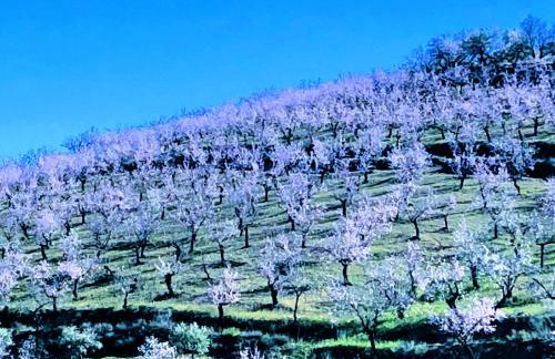 La Era de Alcántara - Foto 30