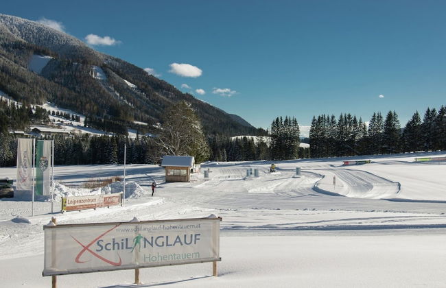 Chalet in Hohentauern / Styria With Sauna - Foto 25