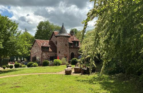 Luxe,piscine,jacuzzi,moulin historique en pierres entièrement rénové - Foto 4