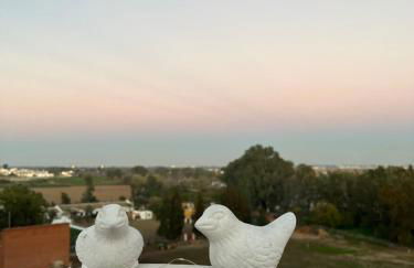 ESTUDIO LAS PALMILLAS - Foto 26