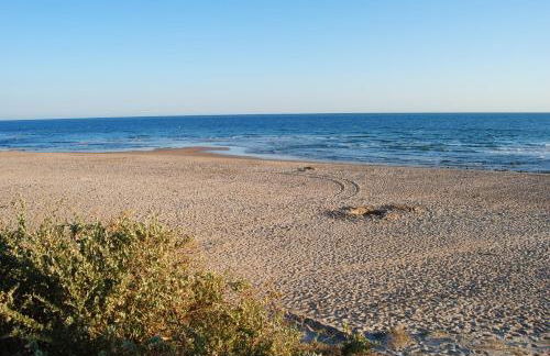 Coto de Sancti Petri - Foto 61