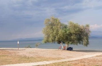 Annie's sweet home Paralio Astros - Foto 22