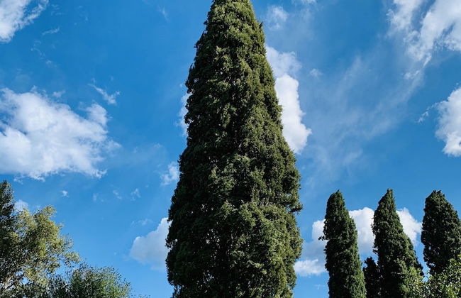 Tenuta Agricola Fraschiera - Foto 71