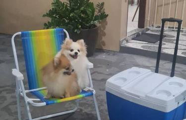 casa de praia - Foto 32