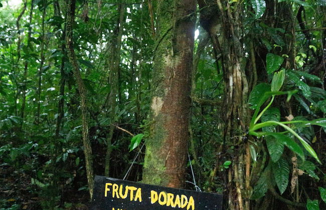 Oski Lodge - Foto 39