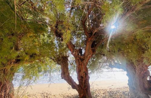 Makrigialos Long Beach Villa 5 - Foto 38