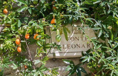 La casetta della nonna - Photo 24