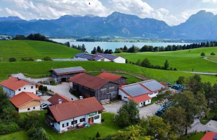 Bio-Ferienhof Köpf - Foto 2