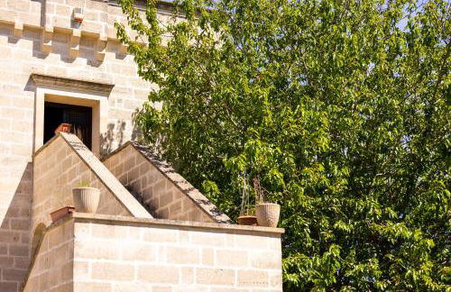 Tenuta Santicuti - Foto 18