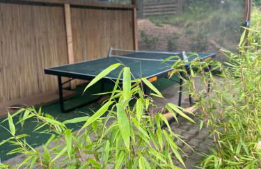 Tinyhaus & Souterrain Apartment in Ortenberg - Foto 53