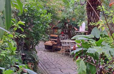 Terra-Crystal - Foto 18