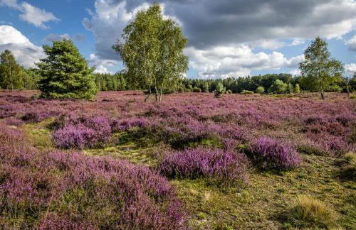 Ferienwohnung Heide View - Foto 24