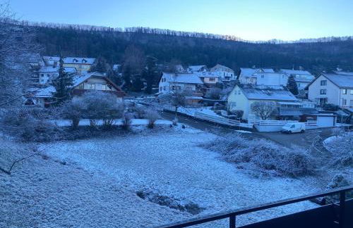 Gemütliche Wohnung mit Berg- und Waldblick - Foto 21