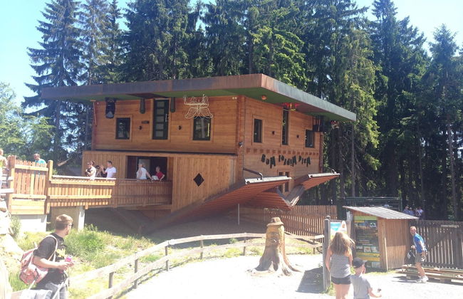 Chalet in Kollnburg Near St. Englmar Ski Area - Photo 32